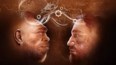 110,000-year-old discovery rewrites human history: Neanderthals and Homo sapiens worked together