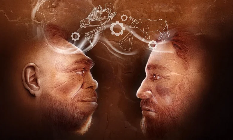 110,000-year-old discovery rewrites human history: Neanderthals and Homo sapiens worked together