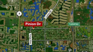 14-year-old girl critically injured in Wellington skateboard accident