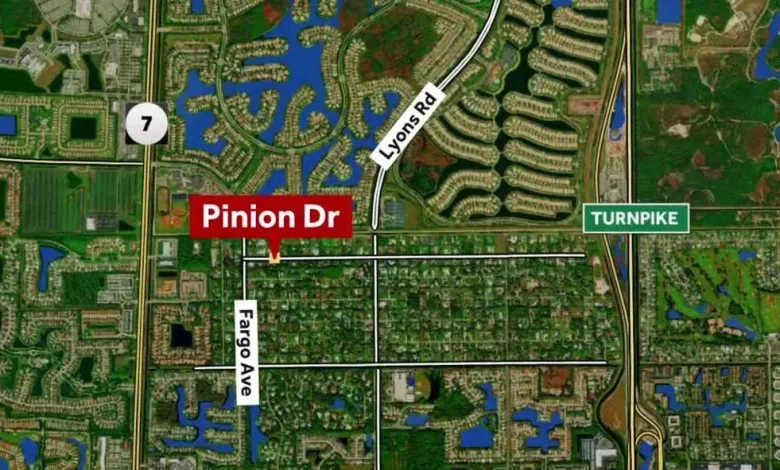 14-year-old girl critically injured in Wellington skateboard accident