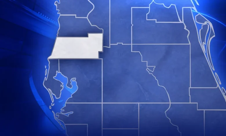 2 dead, including 4-year-old boy, after head-on crash in Zephyrhills: FHP