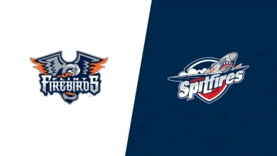 2026 Flint Firebirds vs Windsor Spitfires - Videos
