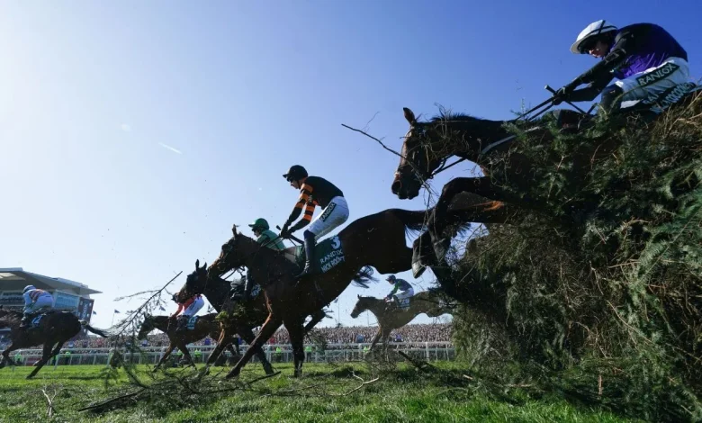 2026 Grand National: Date, time, horses, odds, favourites, how to watch, more