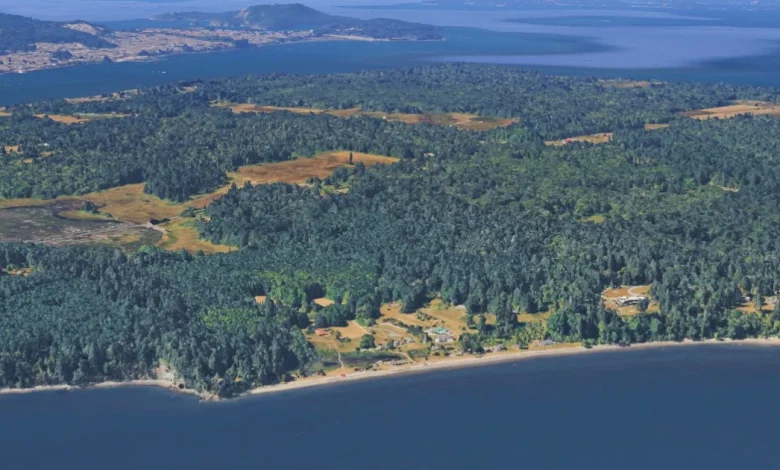 21 dead canines mysteriously wash ashore on Washington state island