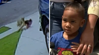 4-year-old boy attacked by coyote while standing in grandparents' driveway in Carson