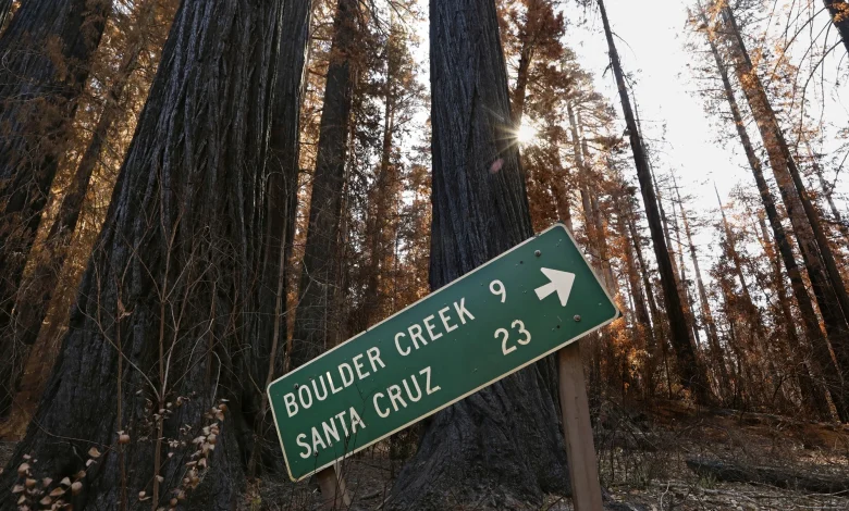 4.6 Magnitude Earthquake in Santa Cruz Mountains Shakes Bay Area Awake