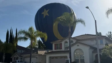 A Hot-Air Balloon Landed in a California Backyard. The Owner Says It's a 'Very Rare' Event