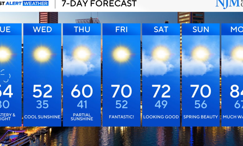 A widespread freeze likely across Maryland Tuesday night