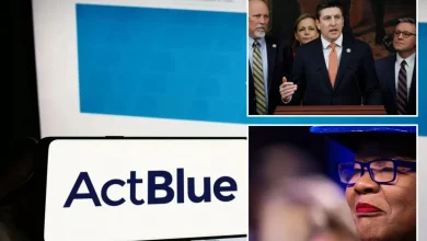 ActBlue employees took the Fifth in House depositions 146 times in probe on alleged donor fraud