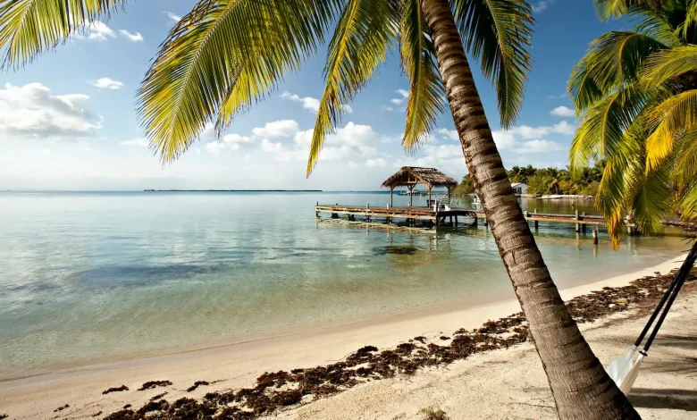 Alert issued for travelers as mosquito-borne illnesses rise in Belize