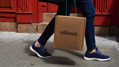 Allbirds Is Pivoting to AI Compute. Sure, Why Not