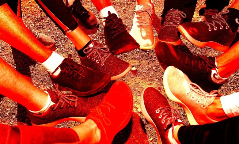 Allbirds Stock Now Crashing as Reality Sets in About Its Delusional AI Pivot