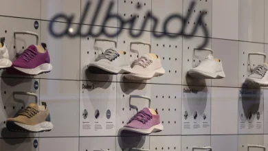 Allbirds announced a switch from shoes to AI and its stock jumped 600 percent