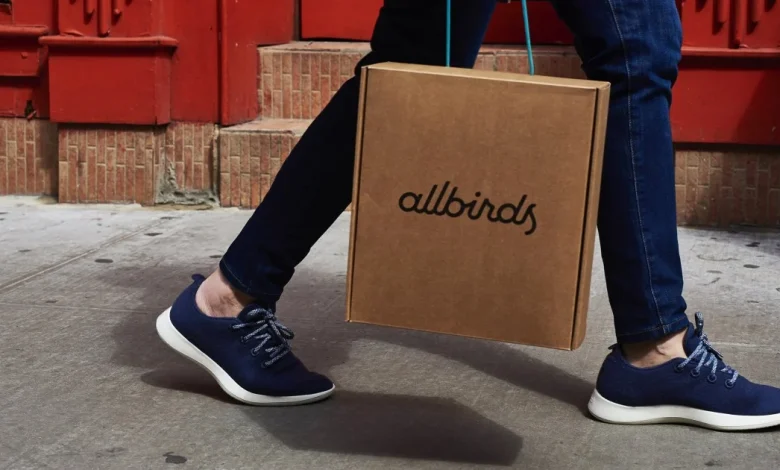 Allbirds, once a buzzy shoe startup, pivots to AI
