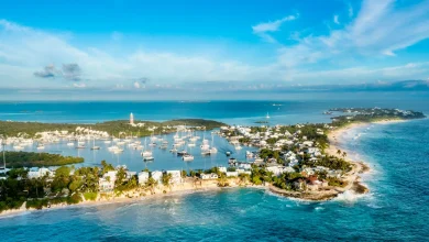 American woman missing in Bahamas after falling overboard is identified as Lynette Hooker