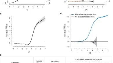 Ancient DNA reveals pervasive directional selection across West Eurasia