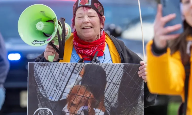 Animal activists attempt second raid at Ridglan, a Wisconsin beagle farm