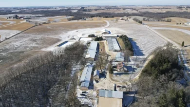 Animal rights activists break into Ridglan Farms ahead of scheduled protest - Channel 3000