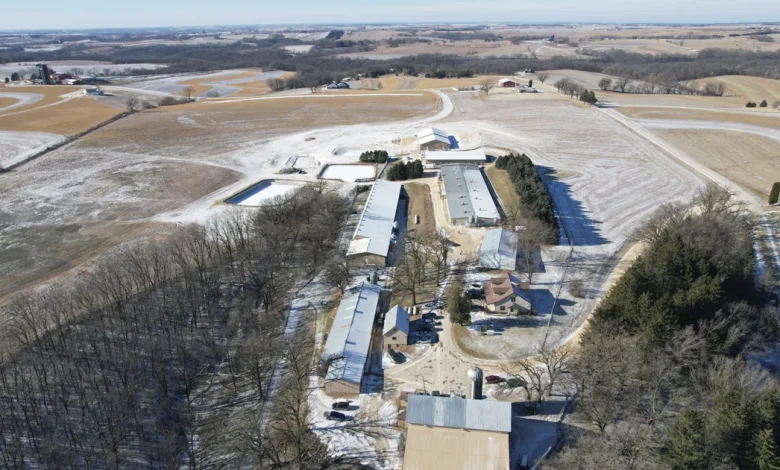 Animal rights activists break into Ridglan Farms ahead of scheduled protest - Channel 3000