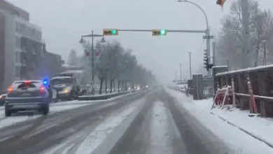 Another spring snowstorm snarls Calgary roads, causes dozens of crashes