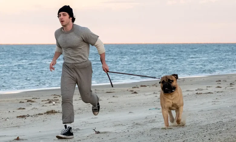 Anthony Ippolito Comes to Life as Young Sylvester Stallone in First ‘I Play Rocky’ Footage