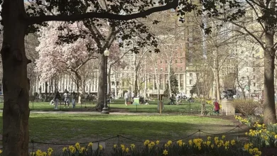 Are city offices open today, Good Friday, in Philadelphia?