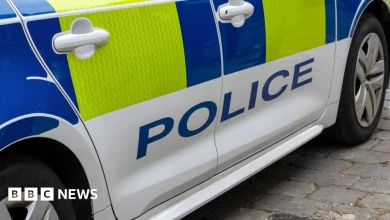 Arrest after man and girl die in pony and trap crash near Tonbridge