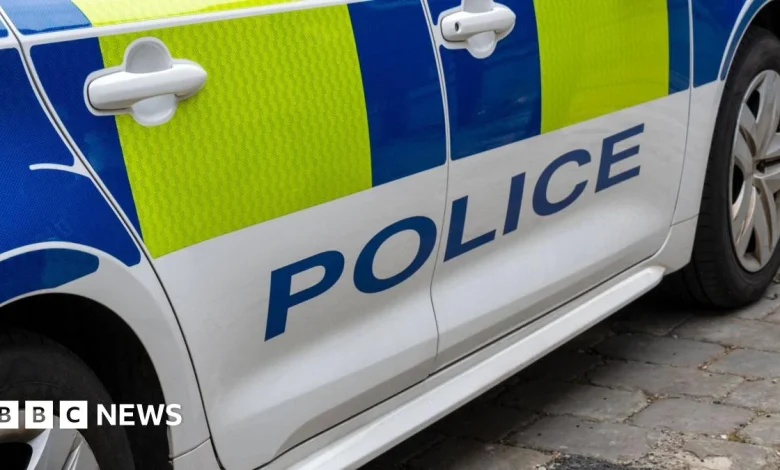 Arrest after man and girl die in pony and trap crash near Tonbridge