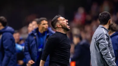 As escolhas de Farioli: o onze do FC Porto para o duelo com o Famalicão