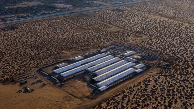 As immigrant deaths in custody grow, ICE reduces what details are made public