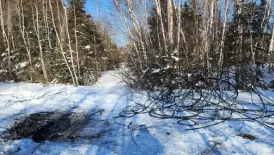 As more copper wire thefts knock out service, some point fingers at scrap yards