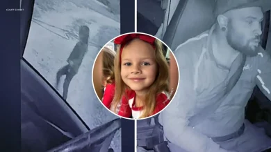 Athena Strand case: Former FedEx driver Tanner Lynn Horner pleads guilty to killing girl after delivery at her Texas home