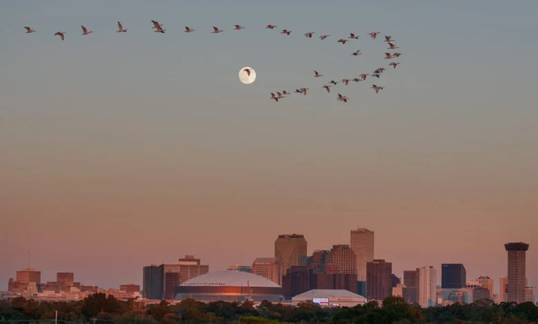 Authorities say they arrested a man planning a mass shooting at large New Orleans festival