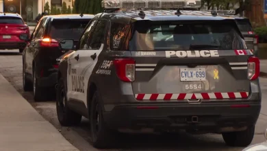 Baby dies after being found inside car without vital signs: Toronto police
