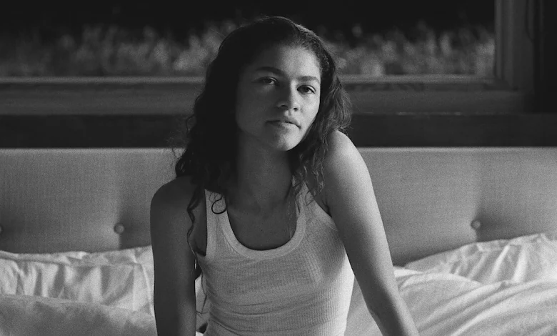 Before and After Euphoria : See the Cast in These 11 Shows and Movies on Netflix