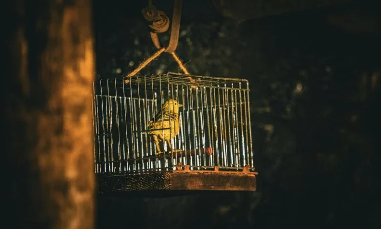 Bitcoin devs float 'quantum tripwire' that triggers coin freeze only if attack is proven