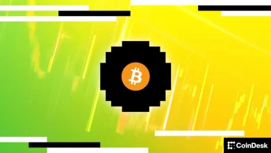 Bitcoin holds near $75,000 as short-term holders look for profit opportunities