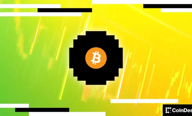 Bitcoin holds near $75,000 as short-term holders look for profit opportunities