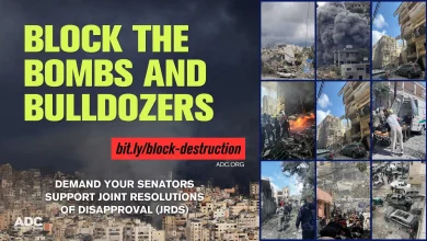 Block the Bombs and Bulldozers