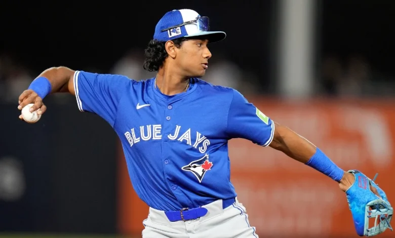 Blue Jays farm system looks to build on recent gains as minor-league season begins