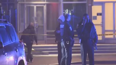 Boston police investigating deadly hit-and-run on Mass. Ave. - Boston News, Weather, Sports