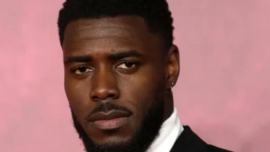 'Bridgerton' Season 5 New Cast: Tega Alexander as Lord Anderson's Son