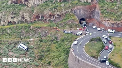 British man, 77, dies after tourist bus crashes in Canary Islands