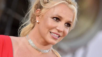 Britney Spears Voluntarily Checks Into Rehab Facility