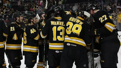 Bruins eyeing history in regular-season finale | TheAHL.com