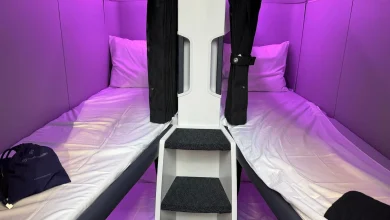 Bunk beds in the sky: Air New Zealand to introduce Skynest this year