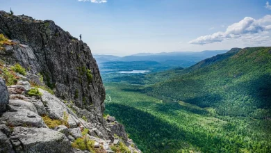 CEC cut-off score reaches new high in latest Express Entry draw