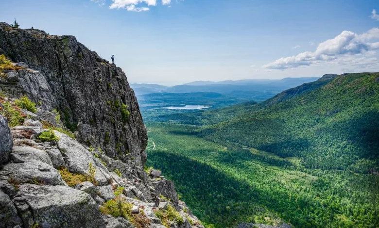 CEC cut-off score reaches new high in latest Express Entry draw