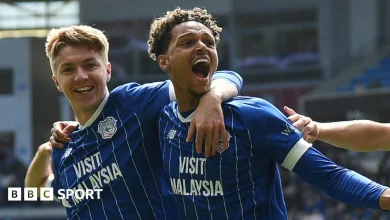 Cardiff City 2-0 Bolton Wanderers: Kellyman and Willock on target