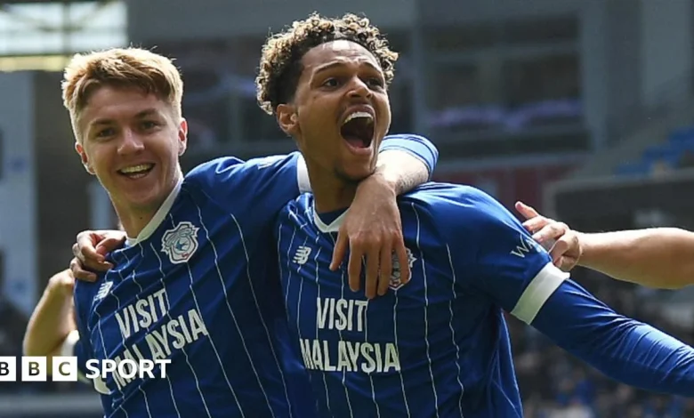 Cardiff City 2-0 Bolton Wanderers: Kellyman and Willock on target